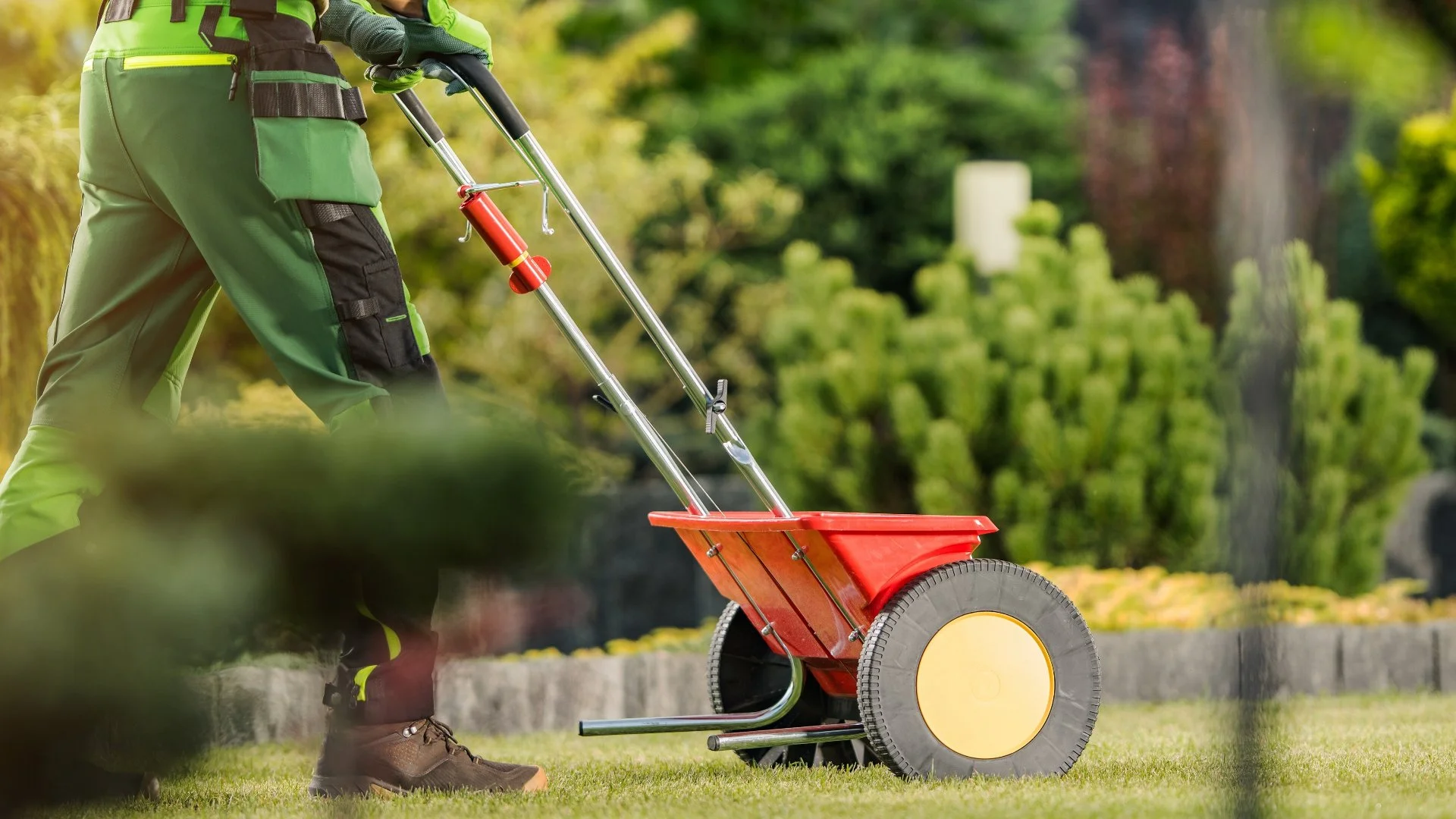 How Many Times Should I Fertilize My Lawn in Pennsylvania This Fall?