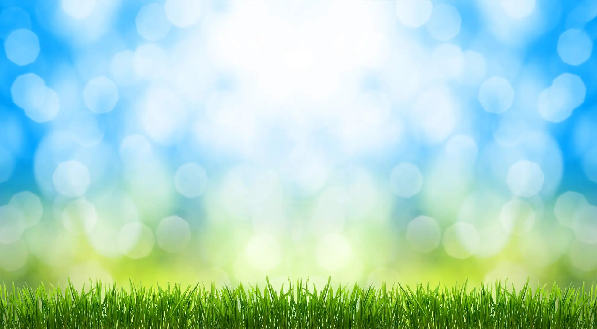 Blue sky bokeh with bright green grass in Wilmington, Delaware.