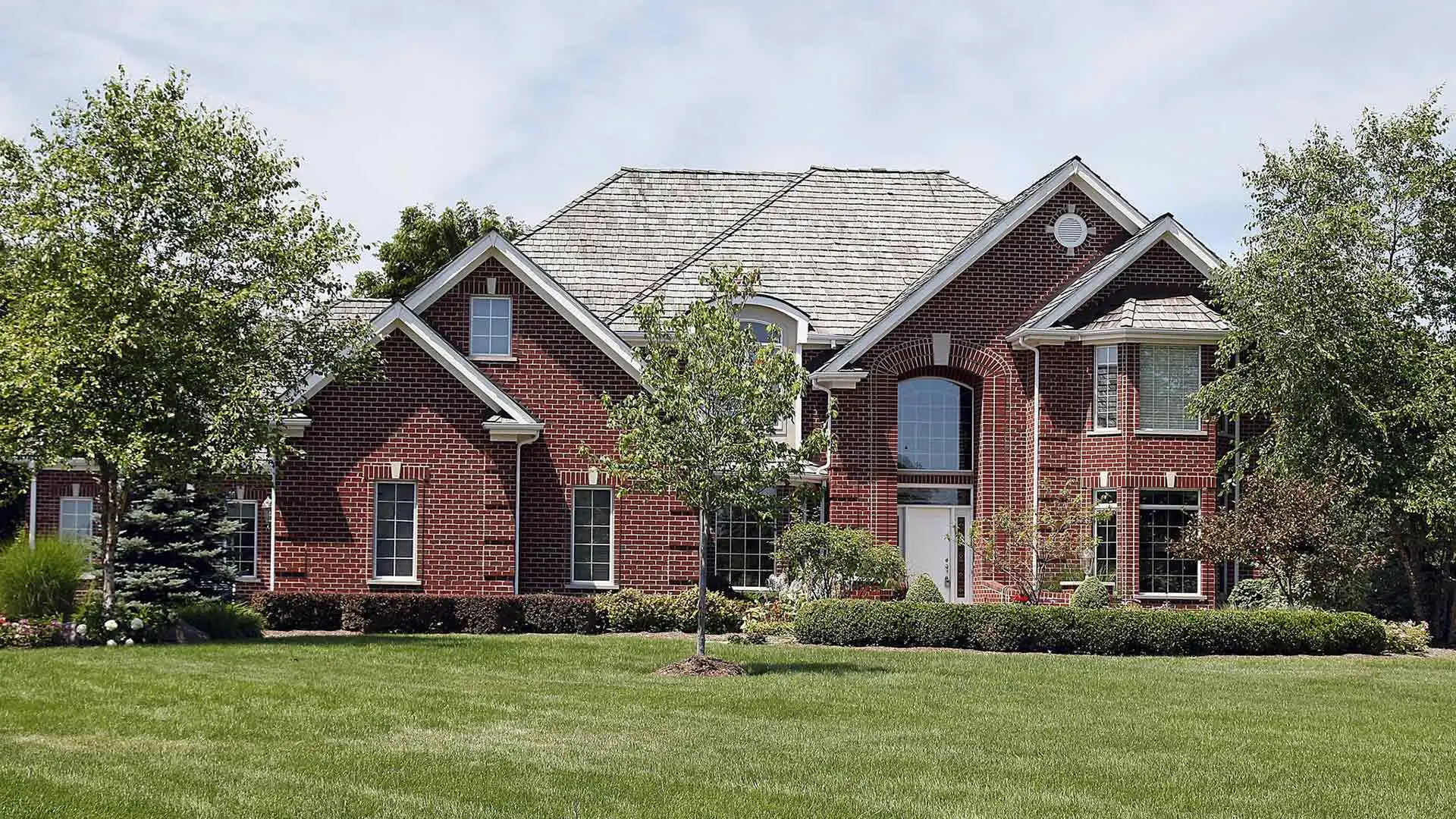 A lawn cared for and healthy in Wilmington, DE.